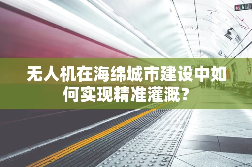 无人机在海绵城市建设中如何实现精准灌溉？