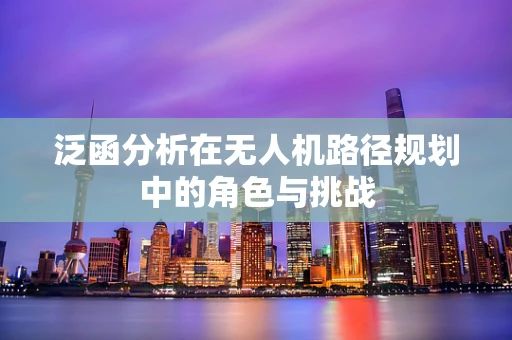 泛函分析在无人机路径规划中的角色与挑战