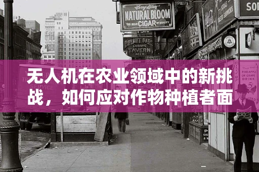 无人机在农业领域中的新挑战，如何应对作物种植者面临的神经性皮炎问题？