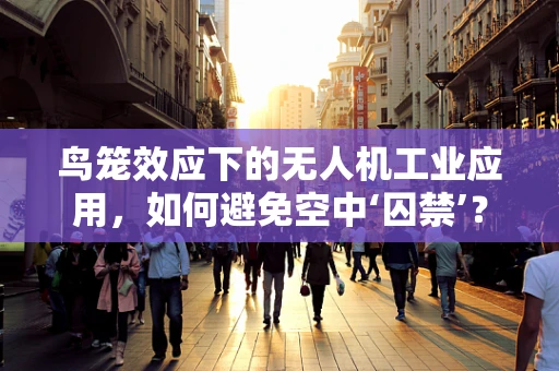 鸟笼效应下的无人机工业应用，如何避免空中‘囚禁’？