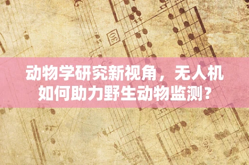动物学研究新视角，无人机如何助力野生动物监测？