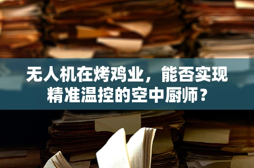 无人机在烤鸡业，能否实现精准温控的空中厨师？