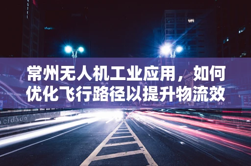 常州无人机工业应用，如何优化飞行路径以提升物流效率？