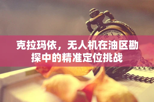 克拉玛依，无人机在油区勘探中的精准定位挑战