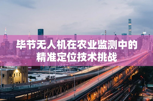 毕节无人机在农业监测中的精准定位技术挑战