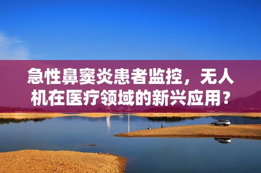 急性鼻窦炎患者监控，无人机在医疗领域的新兴应用？
