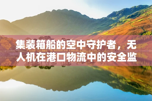 集装箱船的空中守护者，无人机在港口物流中的安全监控挑战