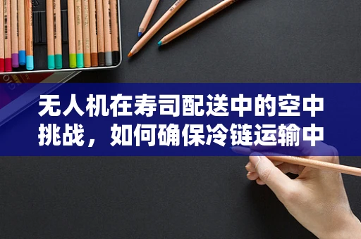 无人机在寿司配送中的空中挑战，如何确保冷链运输中的新鲜与安全？