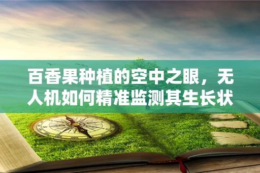 百香果种植的空中之眼，无人机如何精准监测其生长状况？