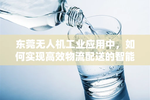 东莞无人机工业应用中，如何实现高效物流配送的智能化升级？