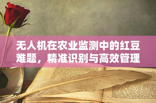 无人机在农业监测中的红豆难题，精准识别与高效管理