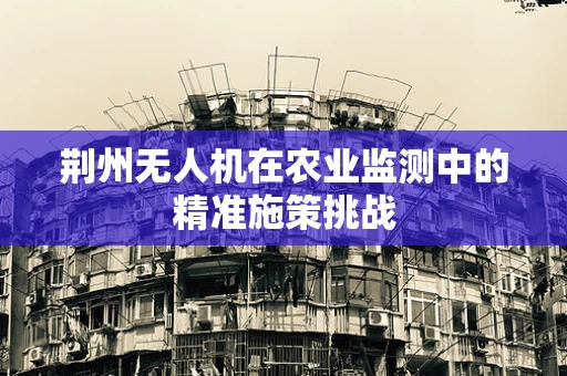 荆州无人机在农业监测中的精准施策挑战