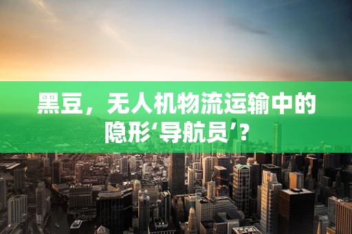 黑豆，无人机物流运输中的隐形‘导航员’？