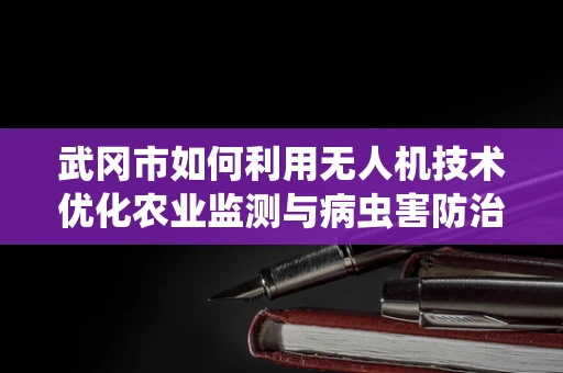 武冈市如何利用无人机技术优化农业监测与病虫害防治？