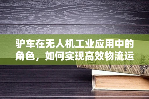 驴车在无人机工业应用中的角色，如何实现高效物流运输？