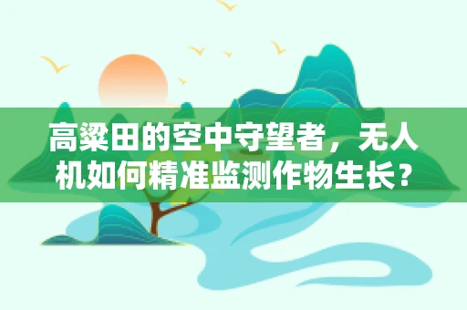 高粱田的空中守望者，无人机如何精准监测作物生长？