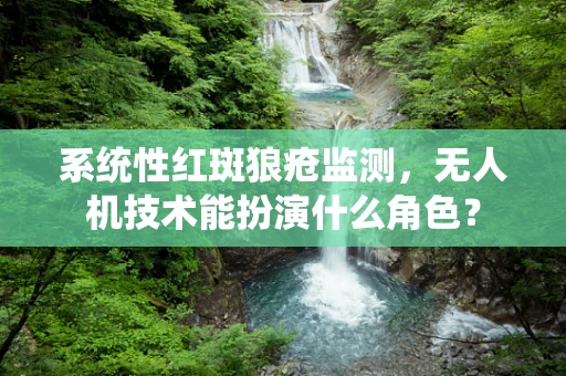 系统性红斑狼疮监测，无人机技术能扮演什么角色？