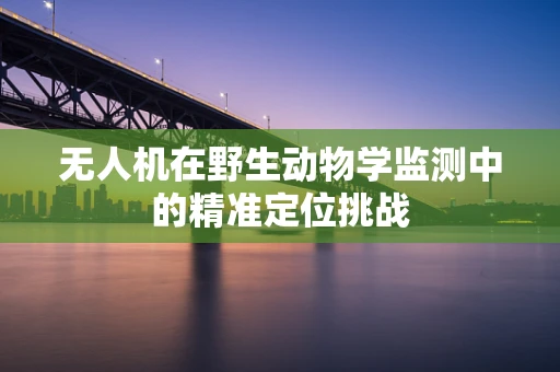 无人机在野生动物学监测中的精准定位挑战