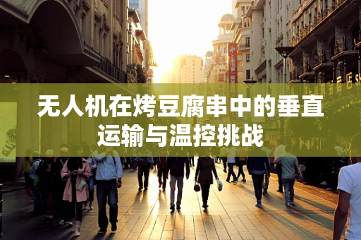 无人机在烤豆腐串中的垂直运输与温控挑战