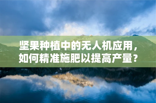 坚果种植中的无人机应用，如何精准施肥以提高产量？