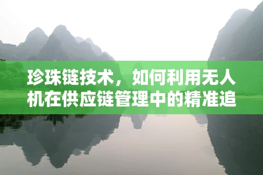 珍珠链技术，如何利用无人机在供应链管理中的精准追踪与优化？