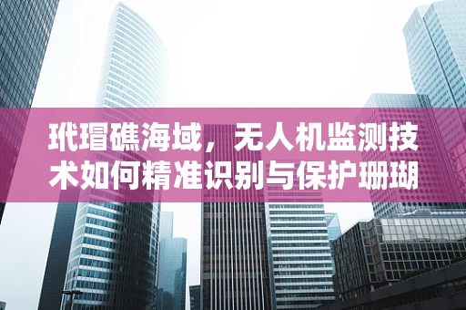 玳瑁礁海域，无人机监测技术如何精准识别与保护珊瑚礁的守护者？