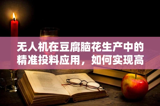 无人机在豆腐脑花生产中的精准投料应用，如何实现高效与精准的平衡？