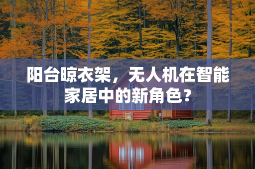 阳台晾衣架，无人机在智能家居中的新角色？