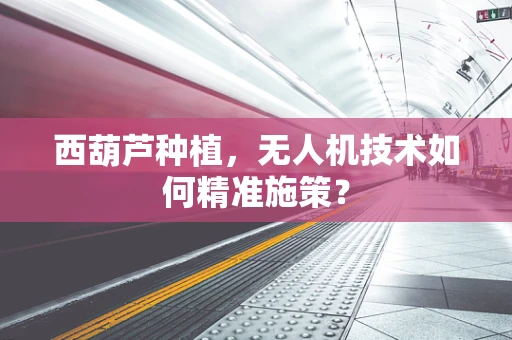 西葫芦种植，无人机技术如何精准施策？