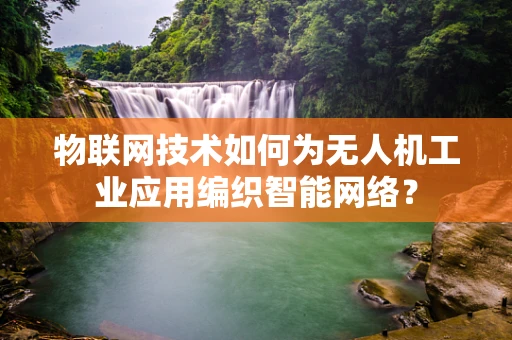 物联网技术如何为无人机工业应用编织智能网络？