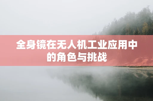 全身镜在无人机工业应用中的角色与挑战