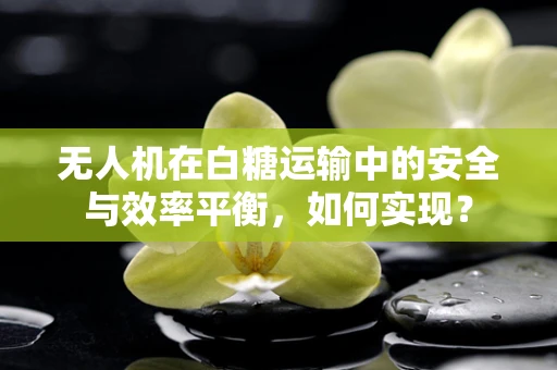 无人机在白糖运输中的安全与效率平衡，如何实现？