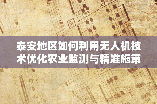 泰安地区如何利用无人机技术优化农业监测与精准施策？