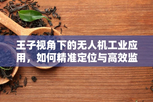 王子视角下的无人机工业应用，如何精准定位与高效监控？