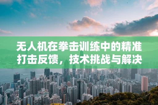 无人机在拳击训练中的精准打击反馈，技术挑战与解决方案？