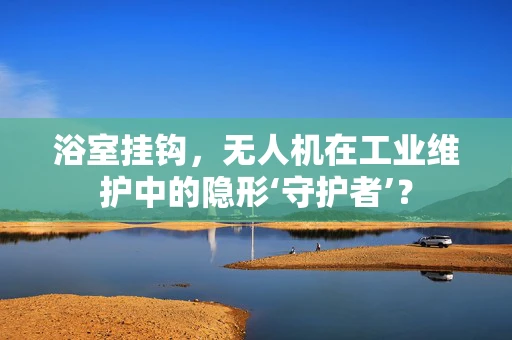 浴室挂钩，无人机在工业维护中的隐形‘守护者’？