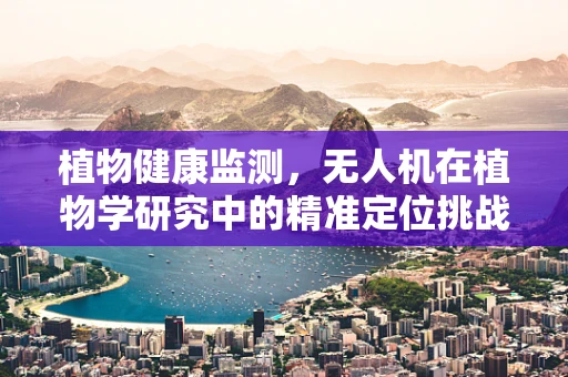 植物健康监测，无人机在植物学研究中的精准定位挑战