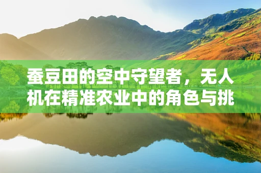 蚕豆田的空中守望者，无人机在精准农业中的角色与挑战
