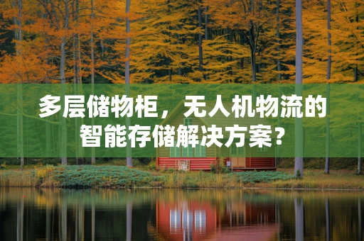 多层储物柜，无人机物流的智能存储解决方案？
