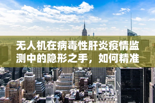 无人机在病毒性肝炎疫情监测中的隐形之手，如何精准高效地追踪高风险区域？