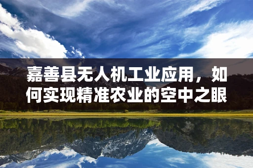 嘉善县无人机工业应用，如何实现精准农业的空中之眼？
