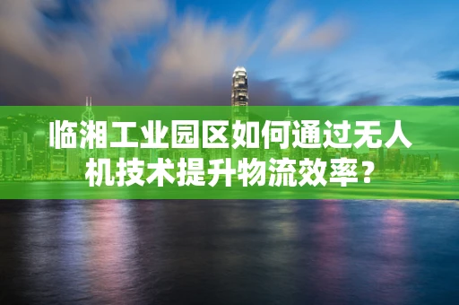 临湘工业园区如何通过无人机技术提升物流效率？