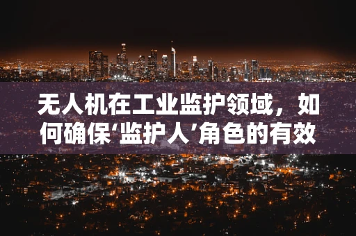 无人机在工业监护领域，如何确保‘监护人’角色的有效执行？