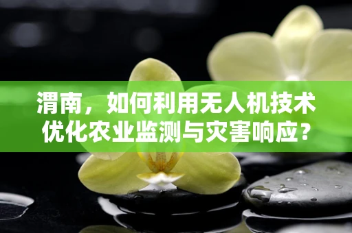 渭南，如何利用无人机技术优化农业监测与灾害响应？
