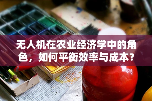 无人机在农业经济学中的角色，如何平衡效率与成本？