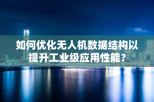 如何优化无人机数据结构以提升工业级应用性能？