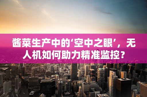 酱菜生产中的‘空中之眼’，无人机如何助力精准监控？