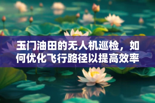 玉门油田的无人机巡检，如何优化飞行路径以提高效率？