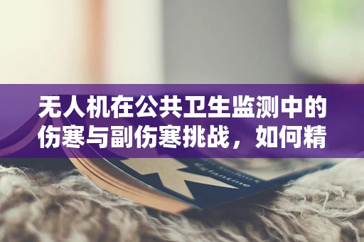 无人机在公共卫生监测中的伤寒与副伤寒挑战，如何精准识别与防控？