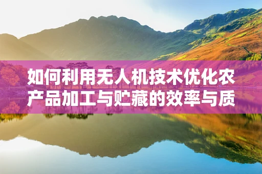 如何利用无人机技术优化农产品加工与贮藏的效率与质量？